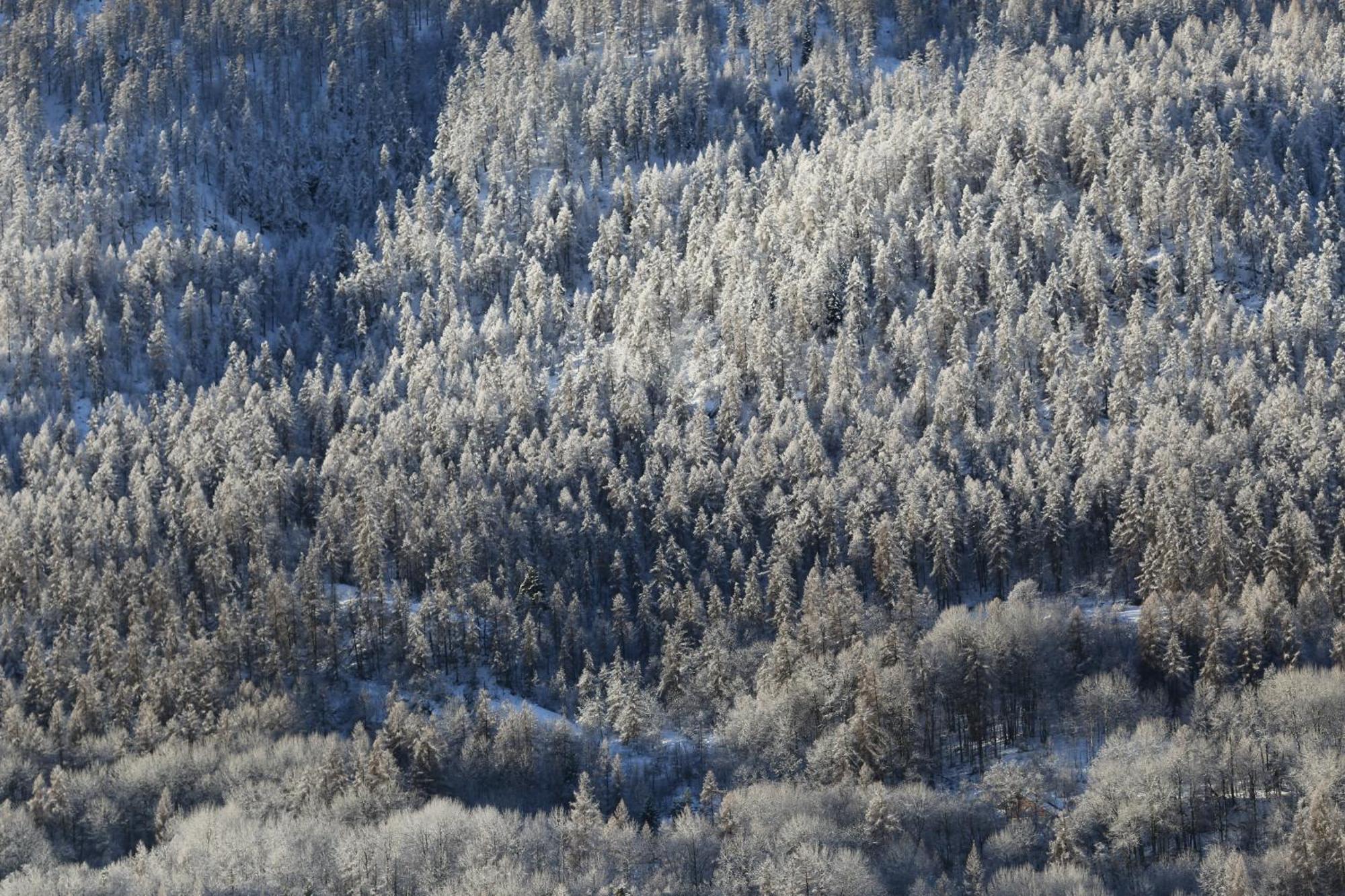 Maison De Montagne Serre Chevalier Saint-Chaffrey Esterno foto